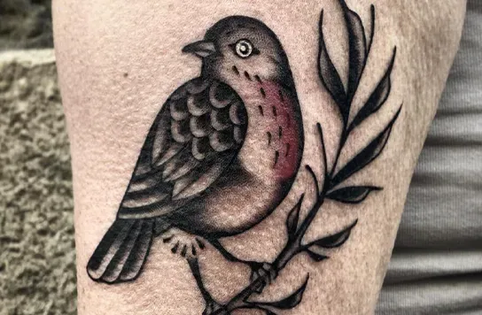Tatouage près de Le Faou